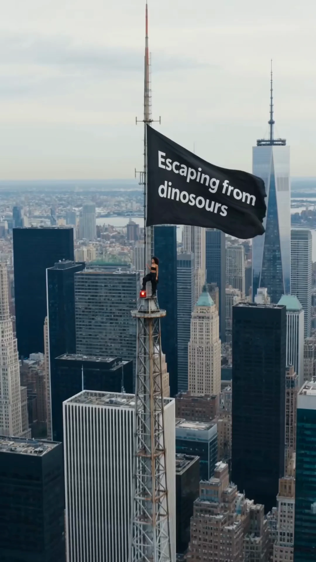 Skyline Banner